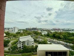 Blk 782 Pasir Ris Street 71 (Pasir Ris), HDB Executive #504255871